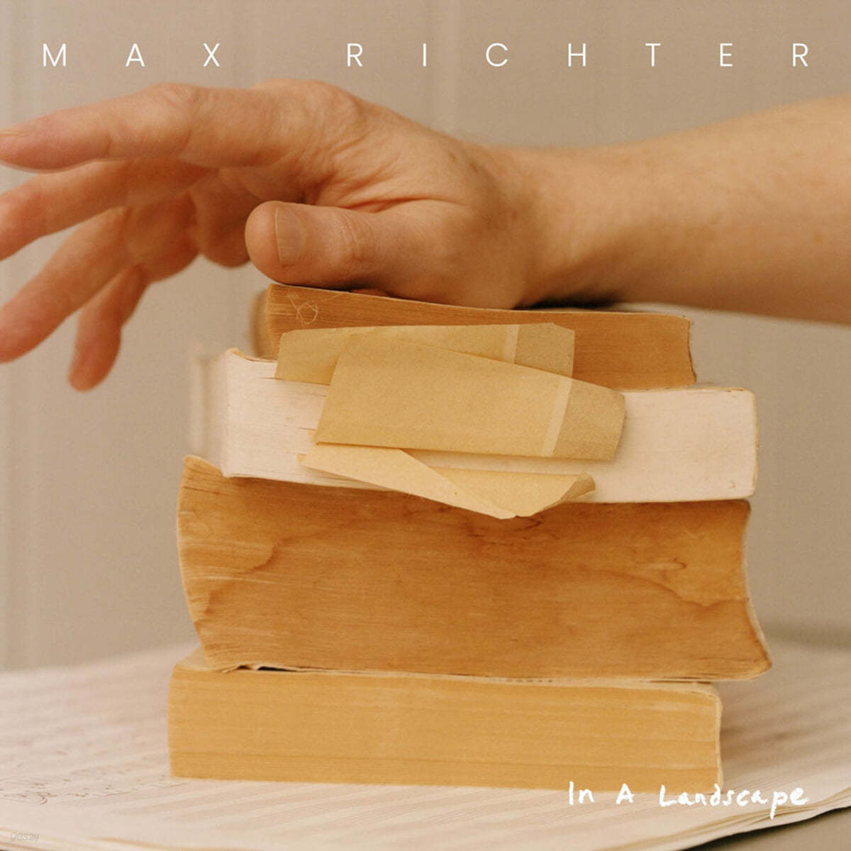 Max Richter (막스 리히터) - In A Landscape [2LP]