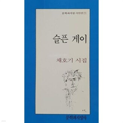 슬픈 게이.문학과지성 시인선 150.지은이 채호기.출판사 문학과지성사.4쇄 1997년 7월 21일 발행.