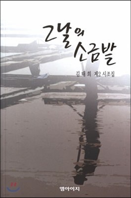 그날의 소금밭