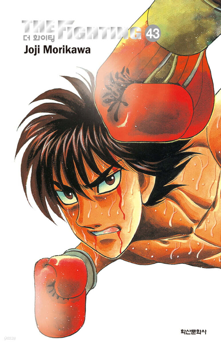 더 화이팅 The Fighting 신장재편판 43