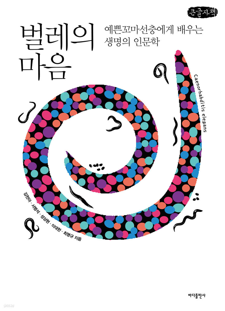 벌레의 마음 (큰글자책)