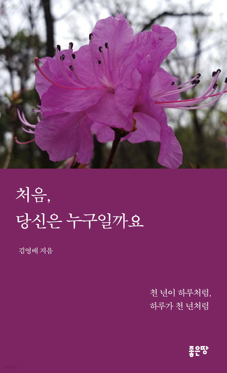 처음, 당신은 누구일까요