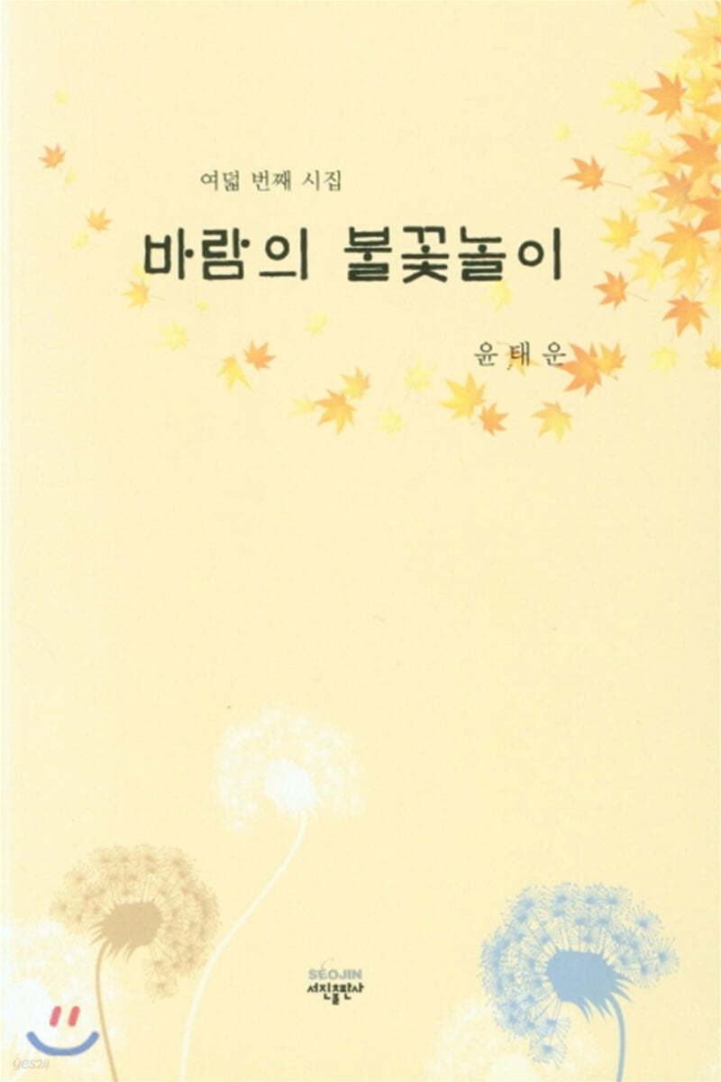 바람의 불꽃놀이