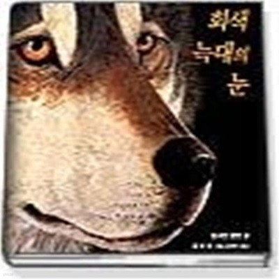 회색 늑대의 눈