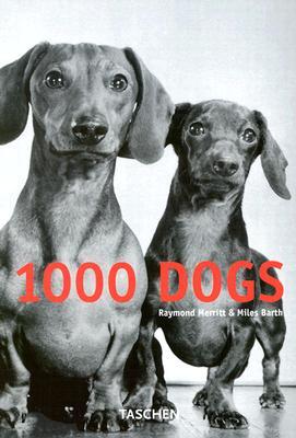 1000 Dogs