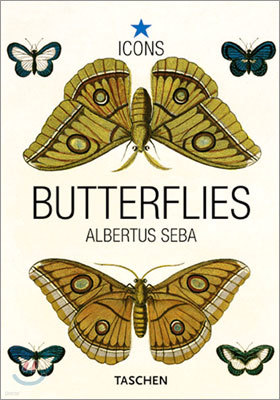 Seba, Butterflies