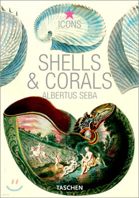 Seba Shells & Corals