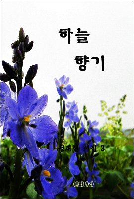 하늘향기