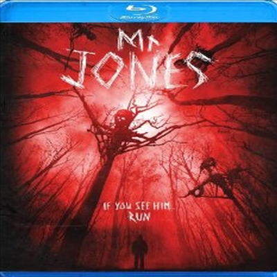 Mr Jones (̽ ) (ѱ۹ڸ)(Blu-ray) (2013)