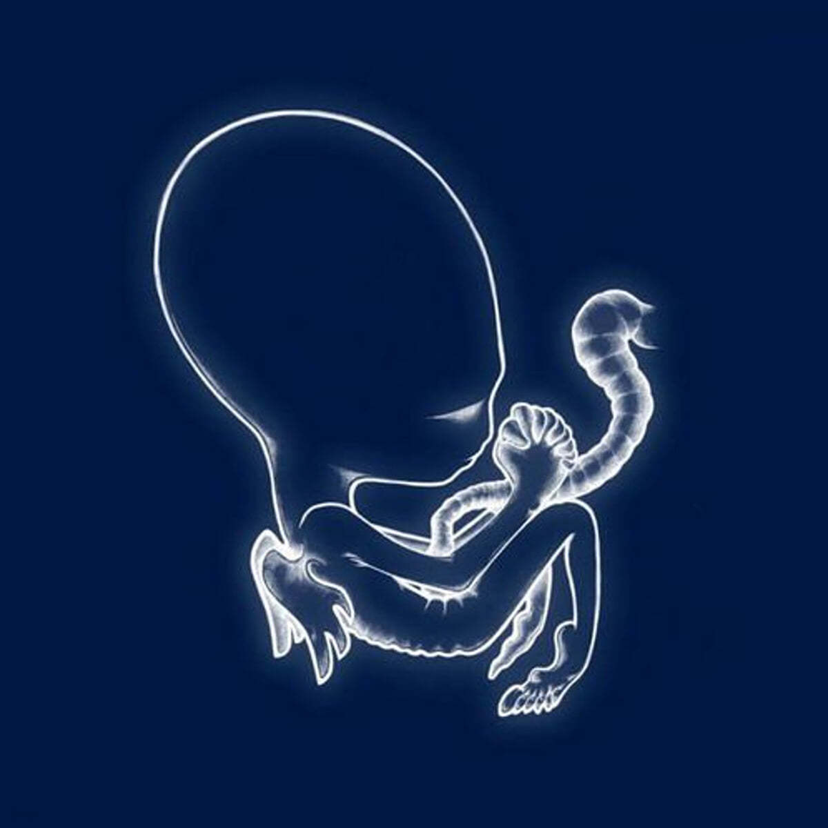 Sigur Ros (시규어 로스) - 2집 Agaetis Byrjun [2LP]