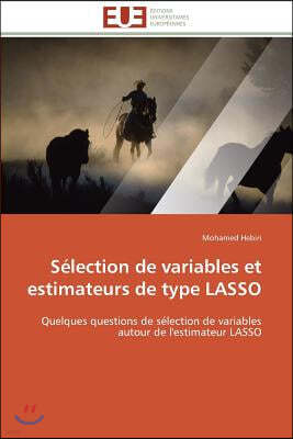 S?lection de Variables Et Estimateurs de Type Lasso