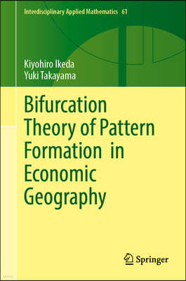 Bifurcation Theory of Pattern Formation in Economic Geography