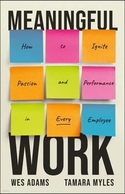 Meaningful Work: How to Ignite Passion and Performance in Every Employee