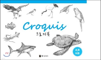 크로키북 Croquis 조류어류