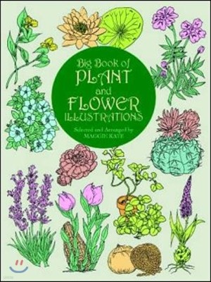 Big Book of Plant and Flower Illustrations