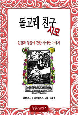 책 정보