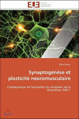 Synaptog?n?se Et Plasticit? Neuromusculaire