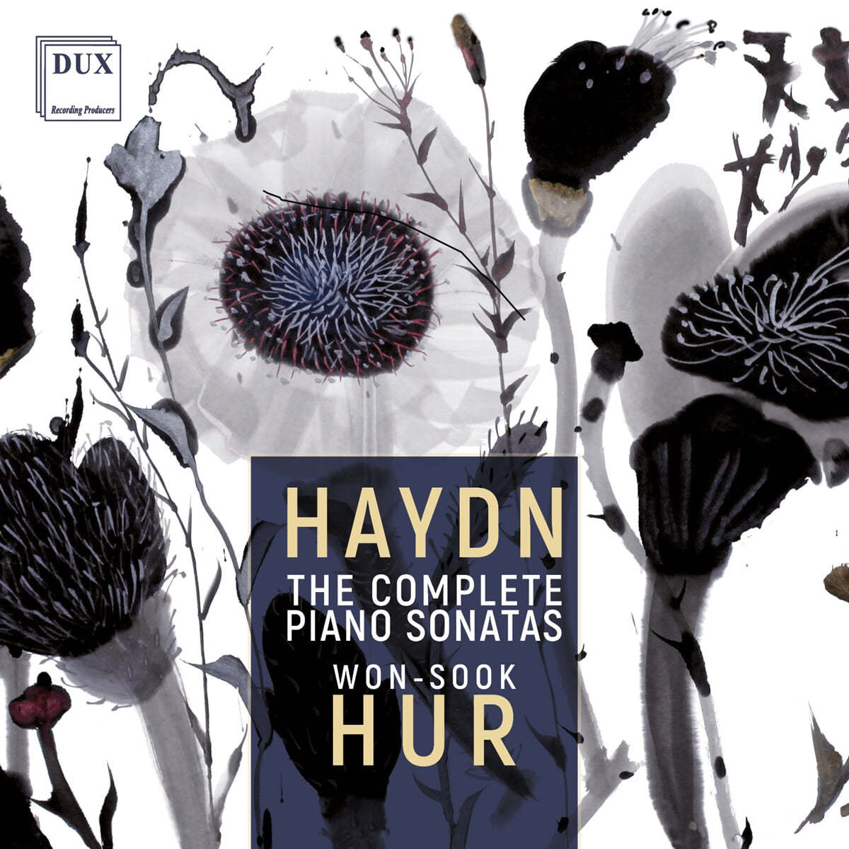 허원숙 - 하이든: 피아노 소나타 전곡 (Haydn: The Complete Piano Sonatas)