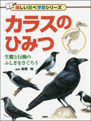 カラスのひみつ 生態と行動のふしぎをさぐ