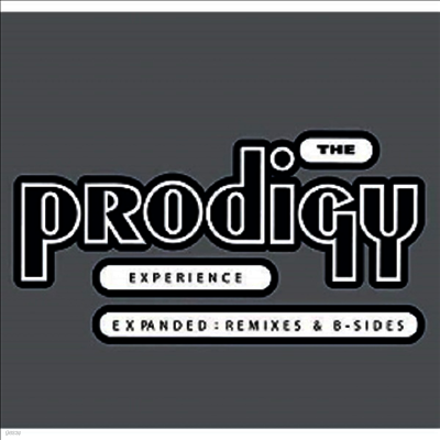 Prodigy — Experience 앨범 커버