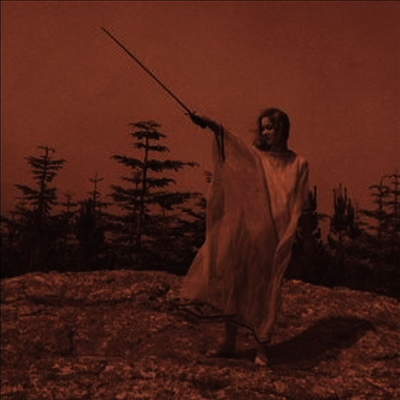 Unknown Mortal Orchestra — II (Free MP3 Download) 앨범 커버
