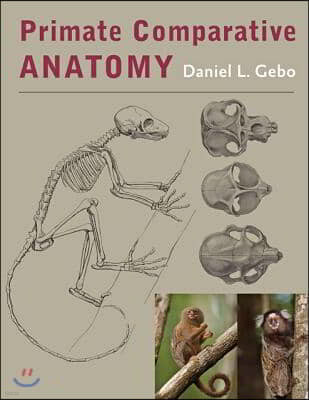 Primate Comparative Anatomy