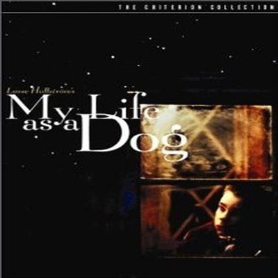 My Life as a Dog (개같은 내 인생) (1987)(지역코드1)(한글무자막)(DVD)