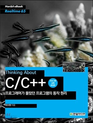 Thinking About C/C++ 프로그래머가 몰랐던 프로그램의 동작 원리 프로그램 실행 환경편