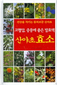 (새책) 고혈압 중풍에 좋은 발효액 산야초 효소: 건강을 지키는 봉의보감 산야초 / 꿈이있는집