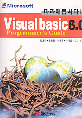 غô! VISUAL BASIC 6.0