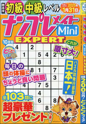 ʫ׫᫤Mini EXPERT 2024Ҵ10