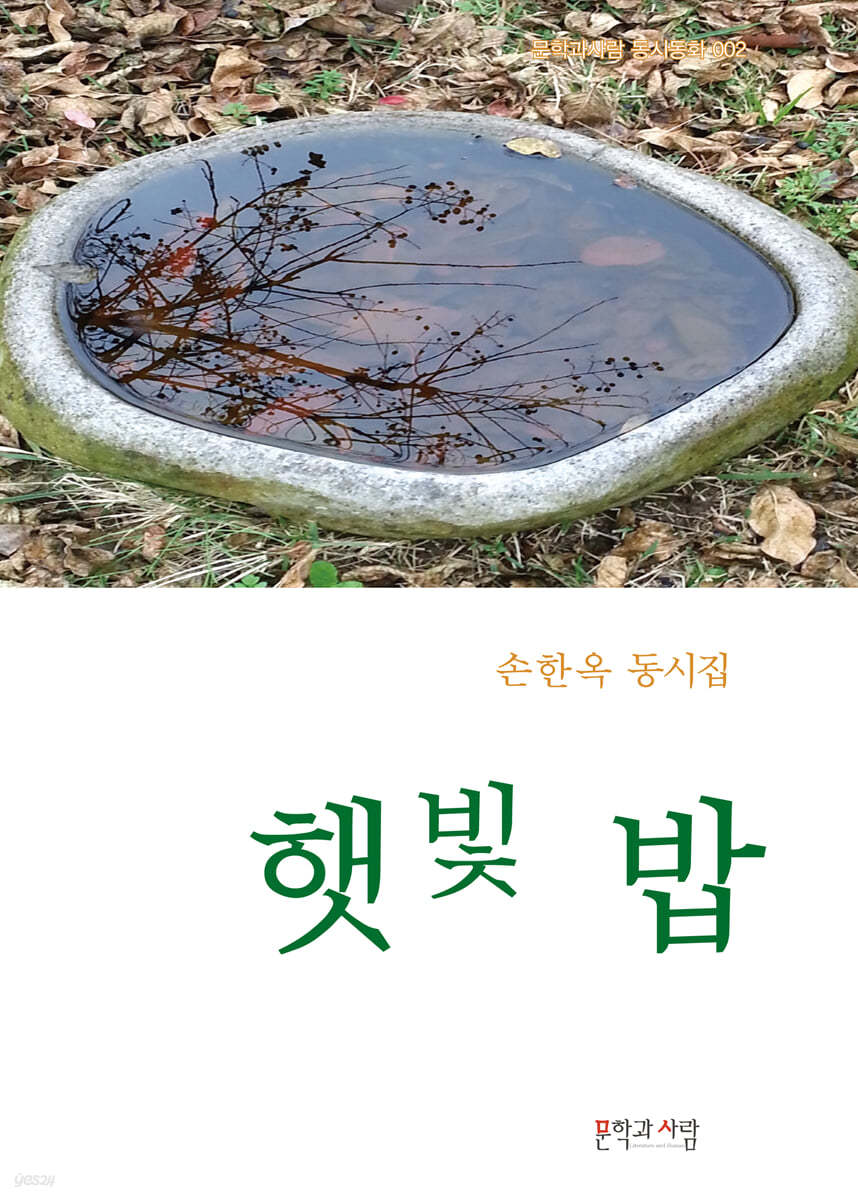 햇빛 밥