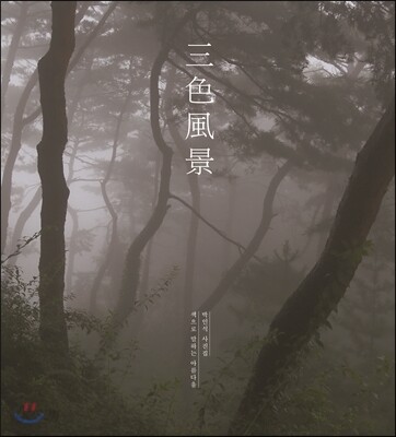 삼색풍경