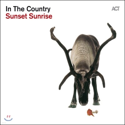 In The Country — Sunset Sunrise 앨범 커버