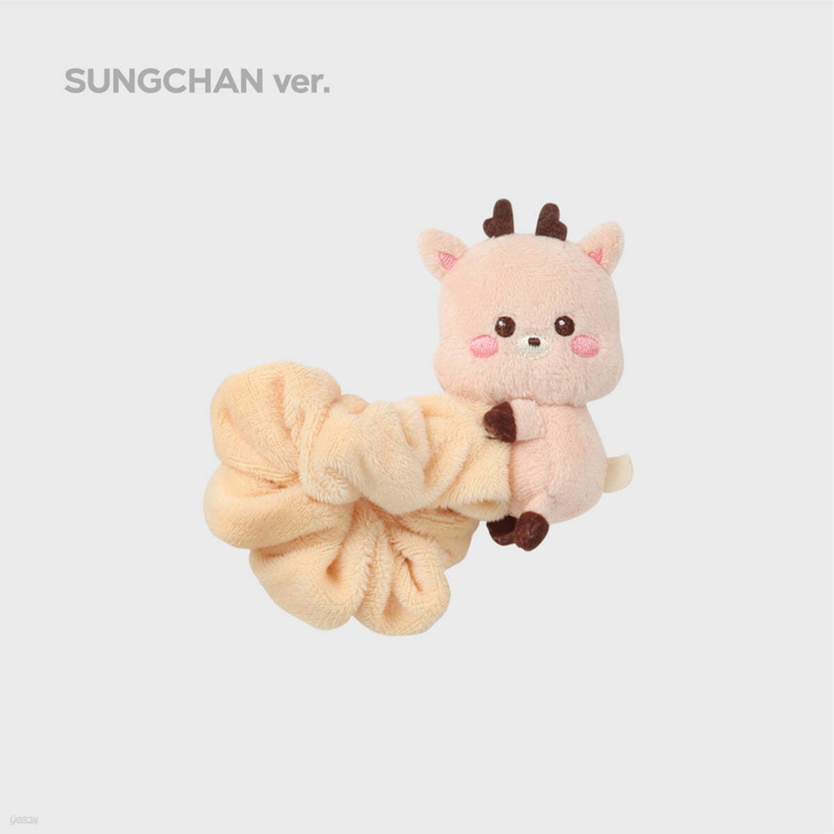 [성찬 ver.] SCRUNCHIE [2024 RIIZE FANCON &#39;RIIZING DAY FINALE&#39;]