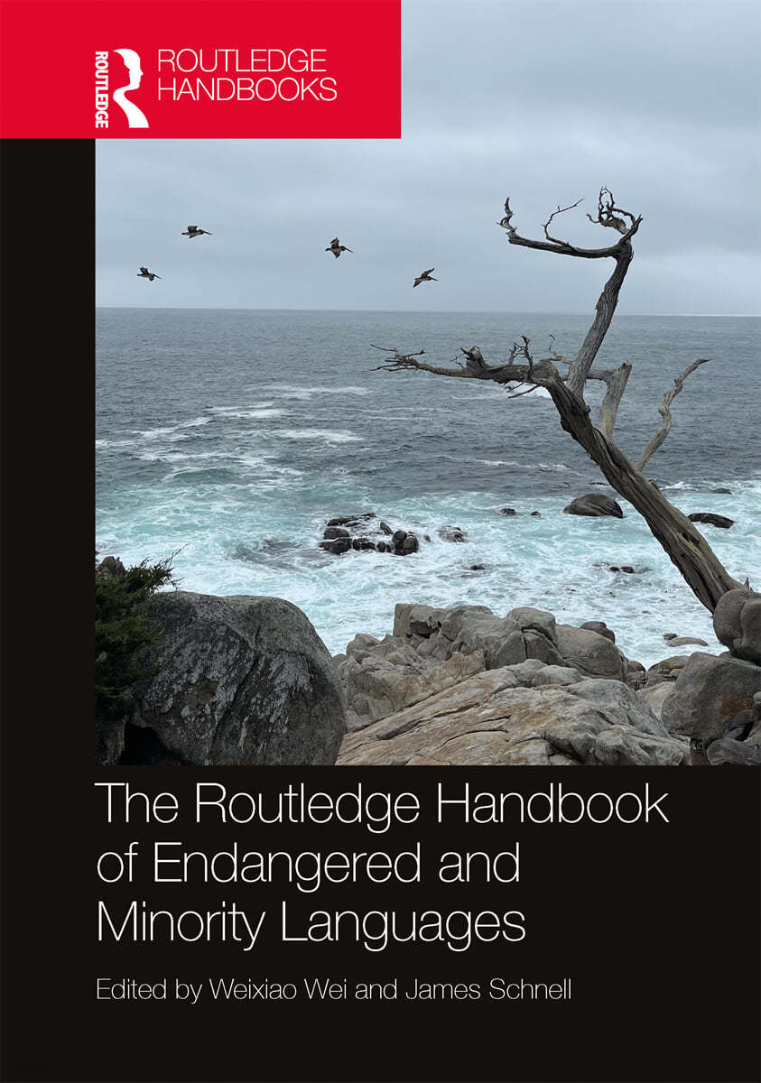 Routledge Handbook of Endangered and Minority Languages