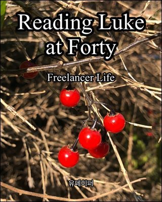 Reading Luke at Forty