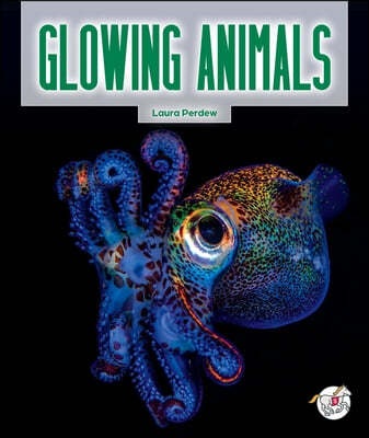 Glowing Animals