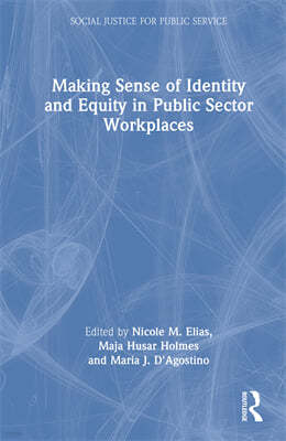 Making Sense of Identity and Equity in Public Sector Workplaces