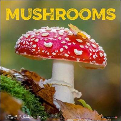 Mushroom (the Art of The) 2025 12 X 12 Wall Calendar