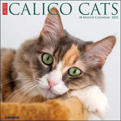 Just Calico Cats 2025 12 X 12 Wall Calendar