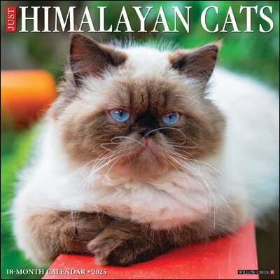 Just Himalayan Cats 2025 12 X 12 Wall Calendar