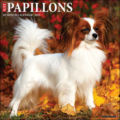 Just Papillons 2025 12 X 12 Wall Calendar