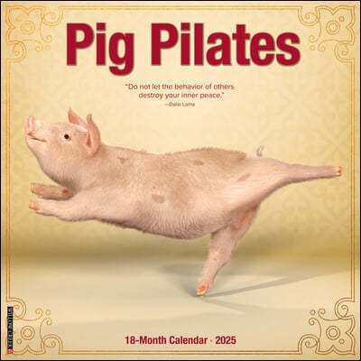 Pig Pilates 2025 12 X 12 Wall Calendar