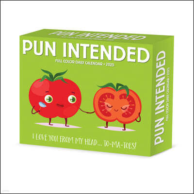 Pun Intended 2025 6.2 X 5.4 Box Calendar