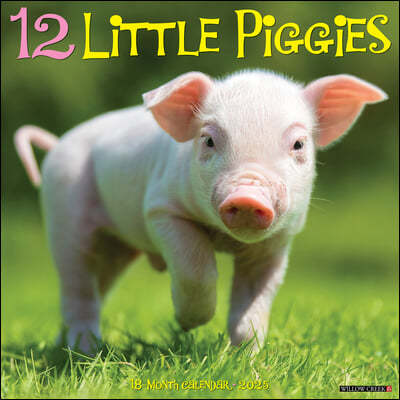 12 Little Piggies 2025 12 X 12 Wall Calendar