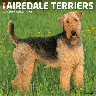 Just Airedale Terriers 2025 12 X 12 Wall Calendar