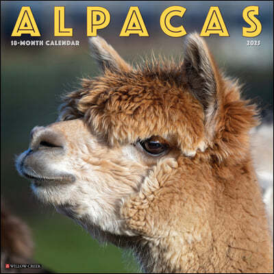 The Alpacas 2025 12 X 12 Wall Calendar