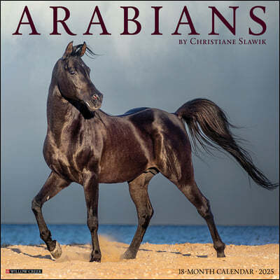 Arabians 2025 12 X 12 Wall Calendar