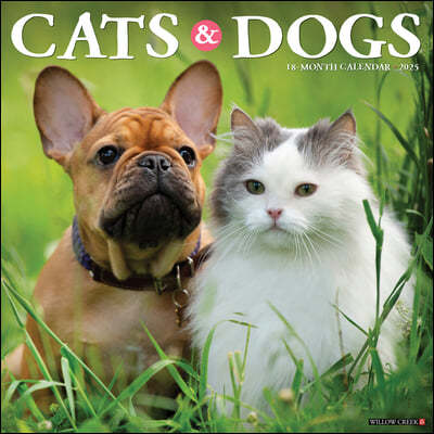 Cats & Dogs 2025 12 X 12 Wall Calendar